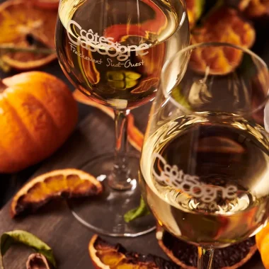 2 verres de blanc côtes de Gascogne dans un décor d'automne